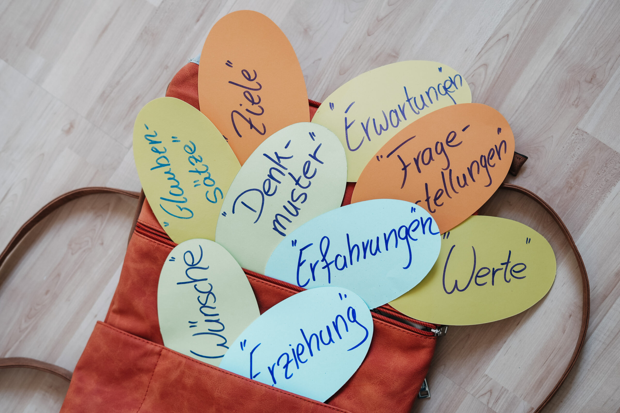 Eine Tasche voll mit Wünschen, Erfahrungen, Werten, Zielen, Fragen....